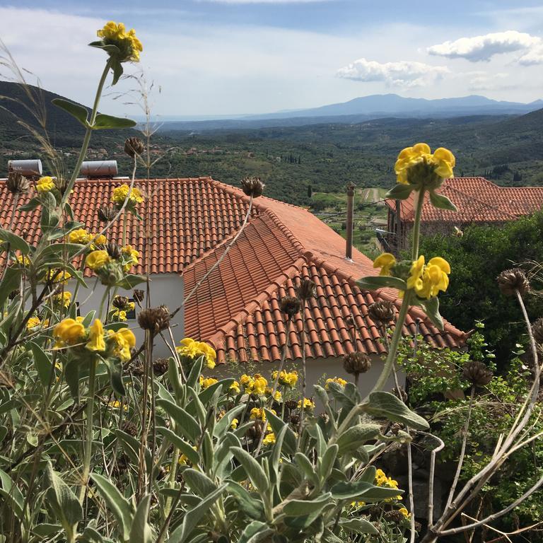 Guesthouse Lykourgos Mavrommation Bagian luar foto